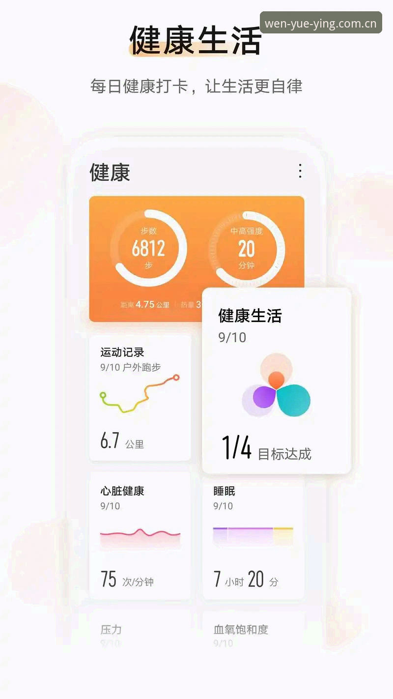 什么是悦盈体育体育数据安卓版？资深用户分享真实使用体验